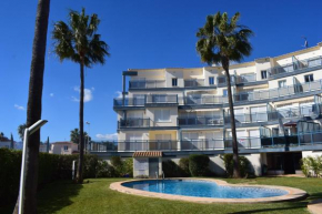 AP308 Green Beach Oliva Nova